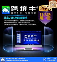 跨境引流系統(tǒng) 外貿(mào)企業(yè)獲取流量的關(guān)鍵軟件服務(wù)